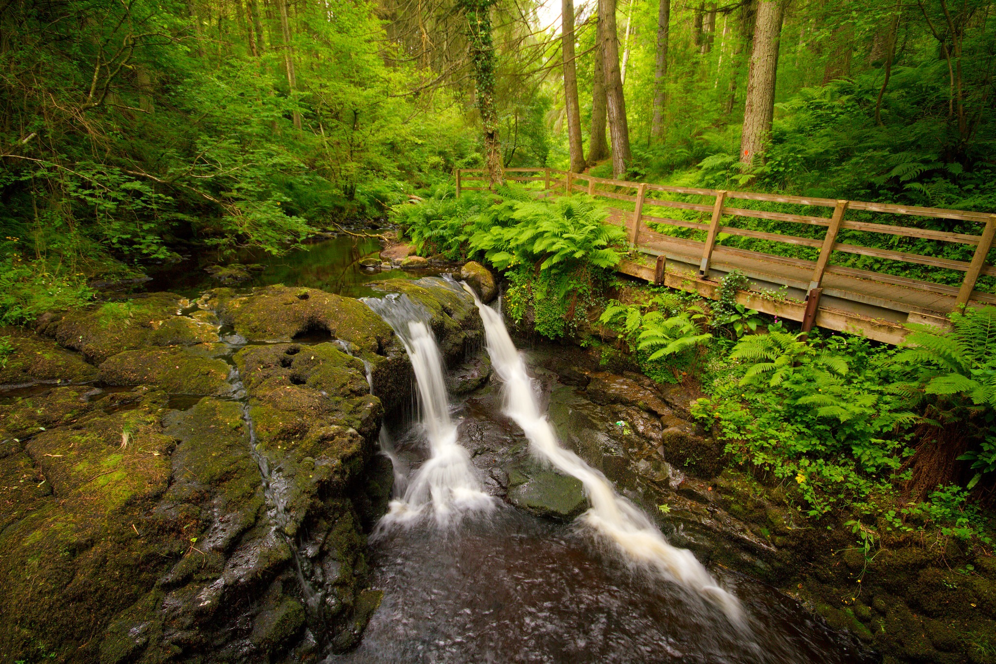 Le Glenariff Forest Park - Umberto Nicoletti - cc