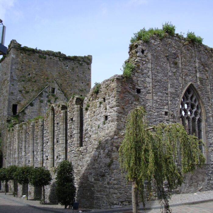 st dominicks abbey cashel scaled