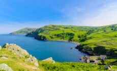 torr head 3