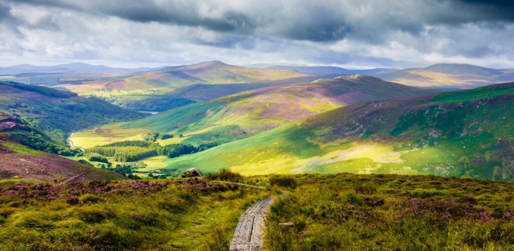 The Wicklow Way - © Monsieur Olivier