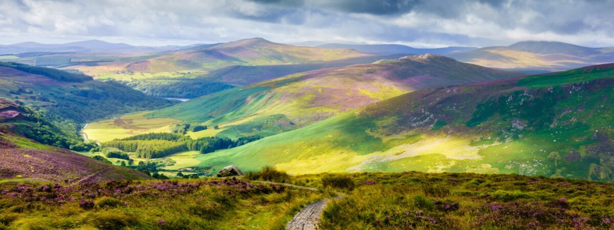 The Wicklow Way - © Monsieur Olivier