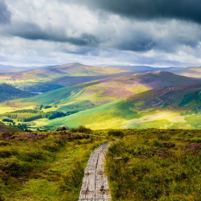 The Wicklow Way - © Monsieur Olivier