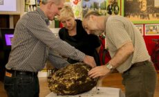 bog butter