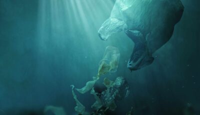 dechets plastique ocean scaled