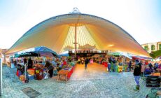 milk market
