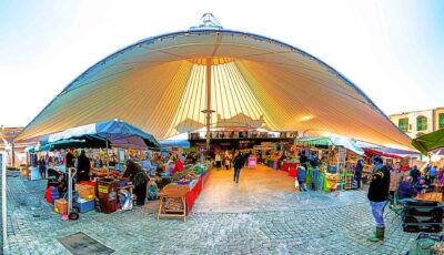 milk market