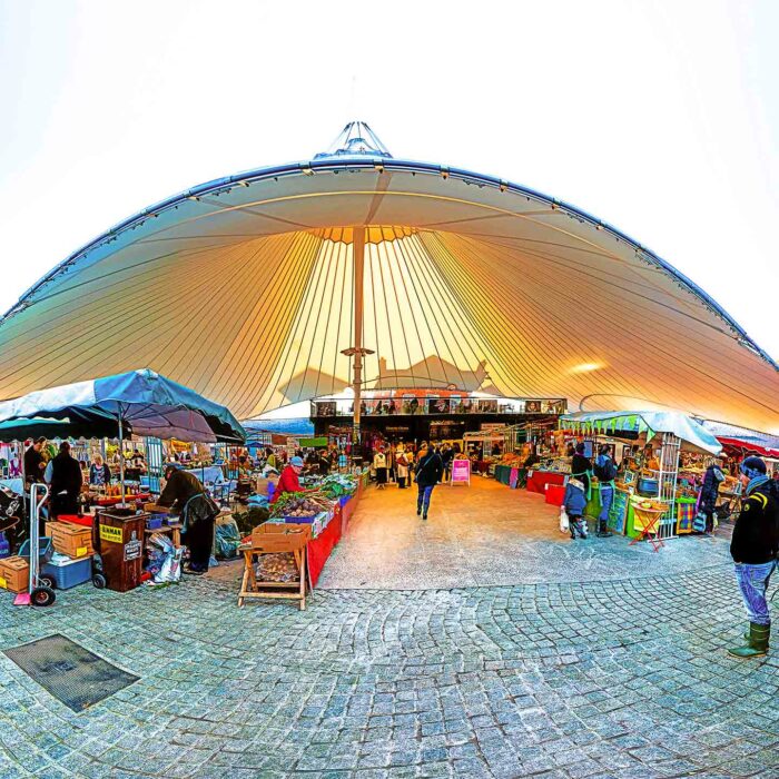 milk market