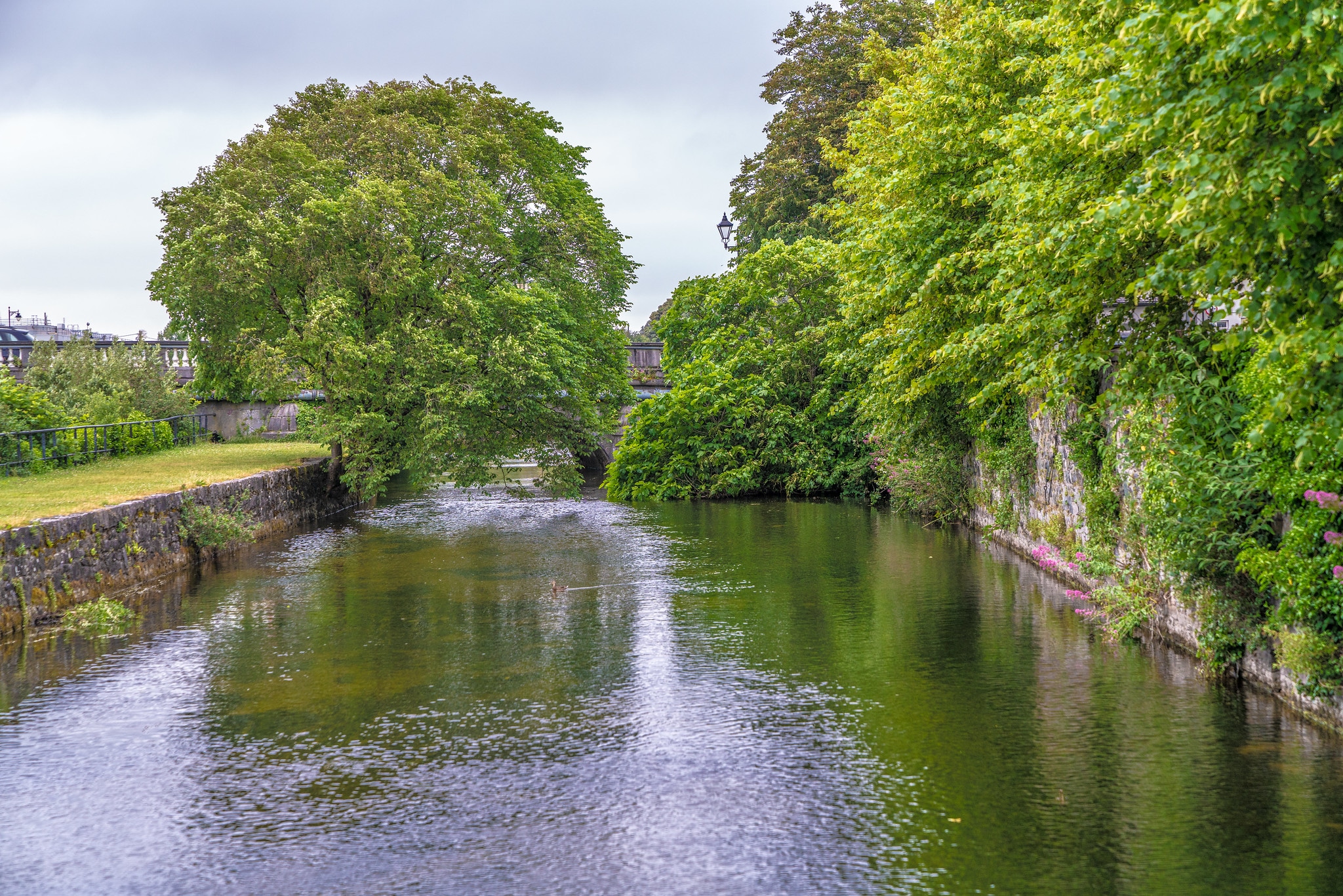 Le Corrib Walk - William Murphy - cc