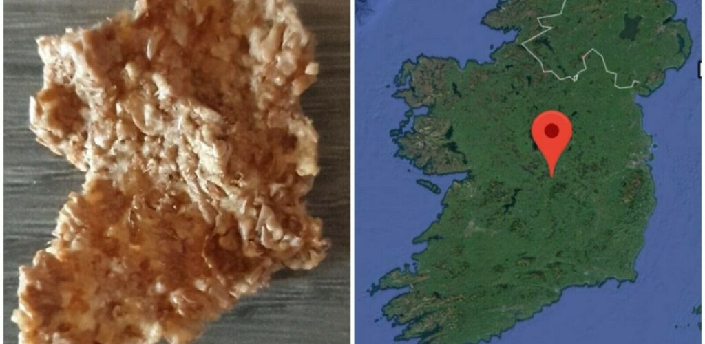 A cornflake in the shape of Ireland for sale on ebay at €112
