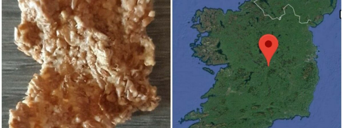 Un corn-flake en forme d'Irlande