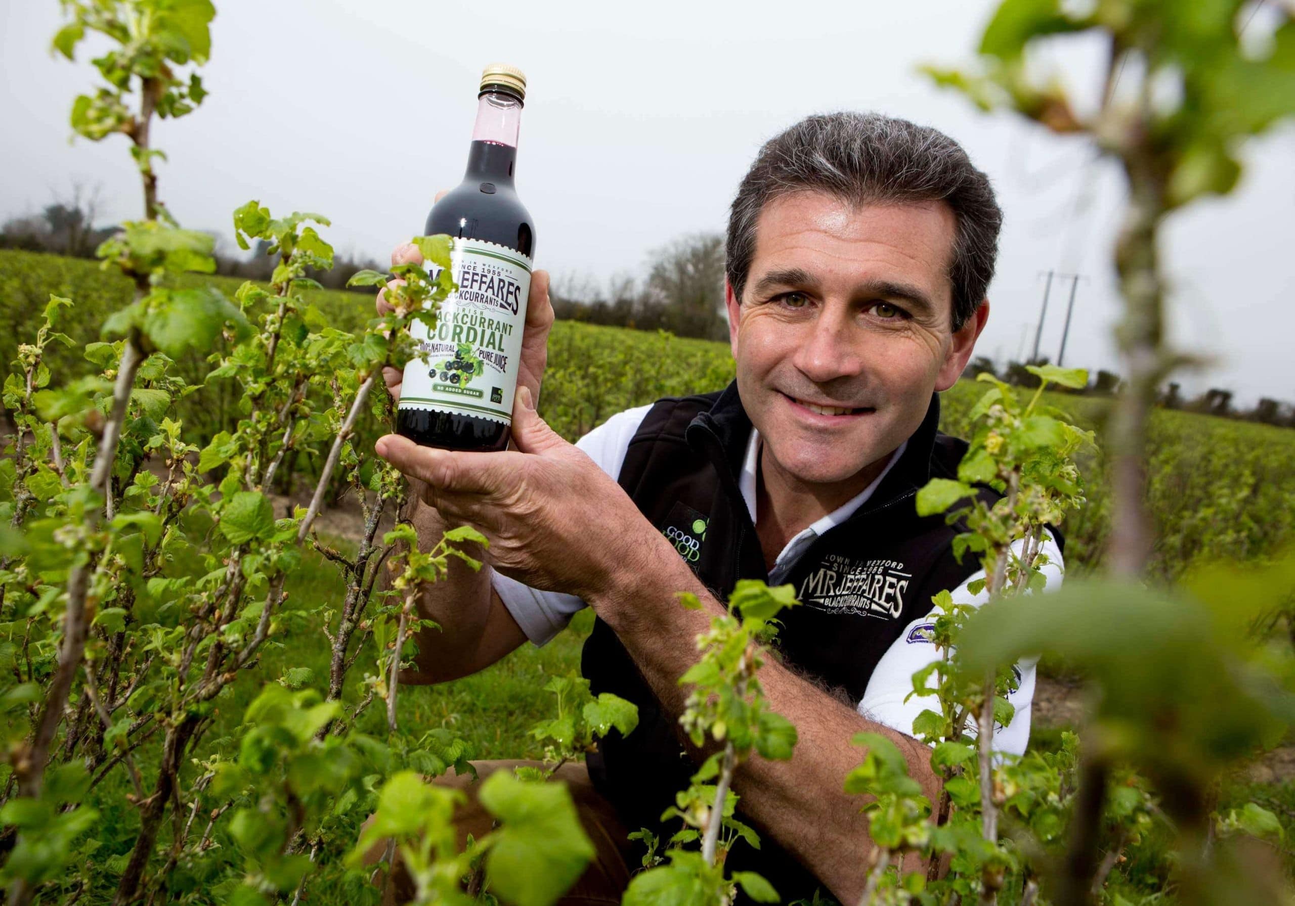 Du Blackcurrant