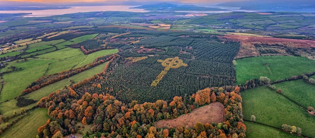 Une croix celtique s'est formée en pleine forêt du comté de Donegal en Irlande - Gareth Wray