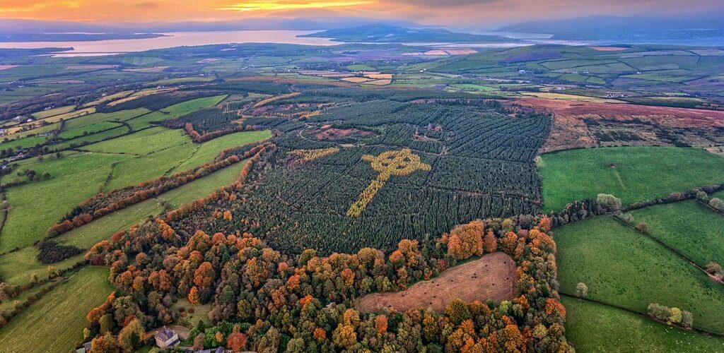 Une croix celtique s'est formée en pleine forêt du comté de Donegal en Irlande - Gareth Wray