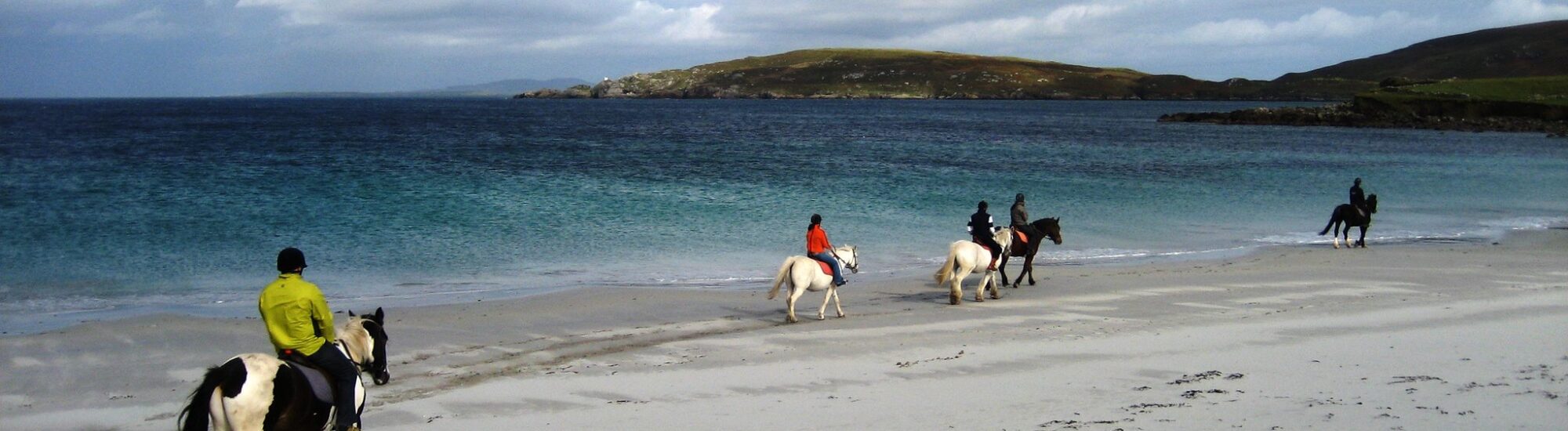 Mountain View Horse Riding Centre
