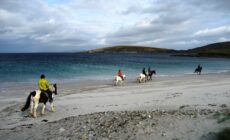 equitation irlande 1