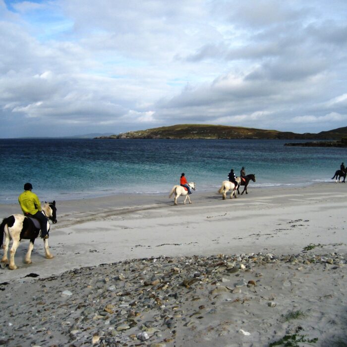 equitation irlande 1
