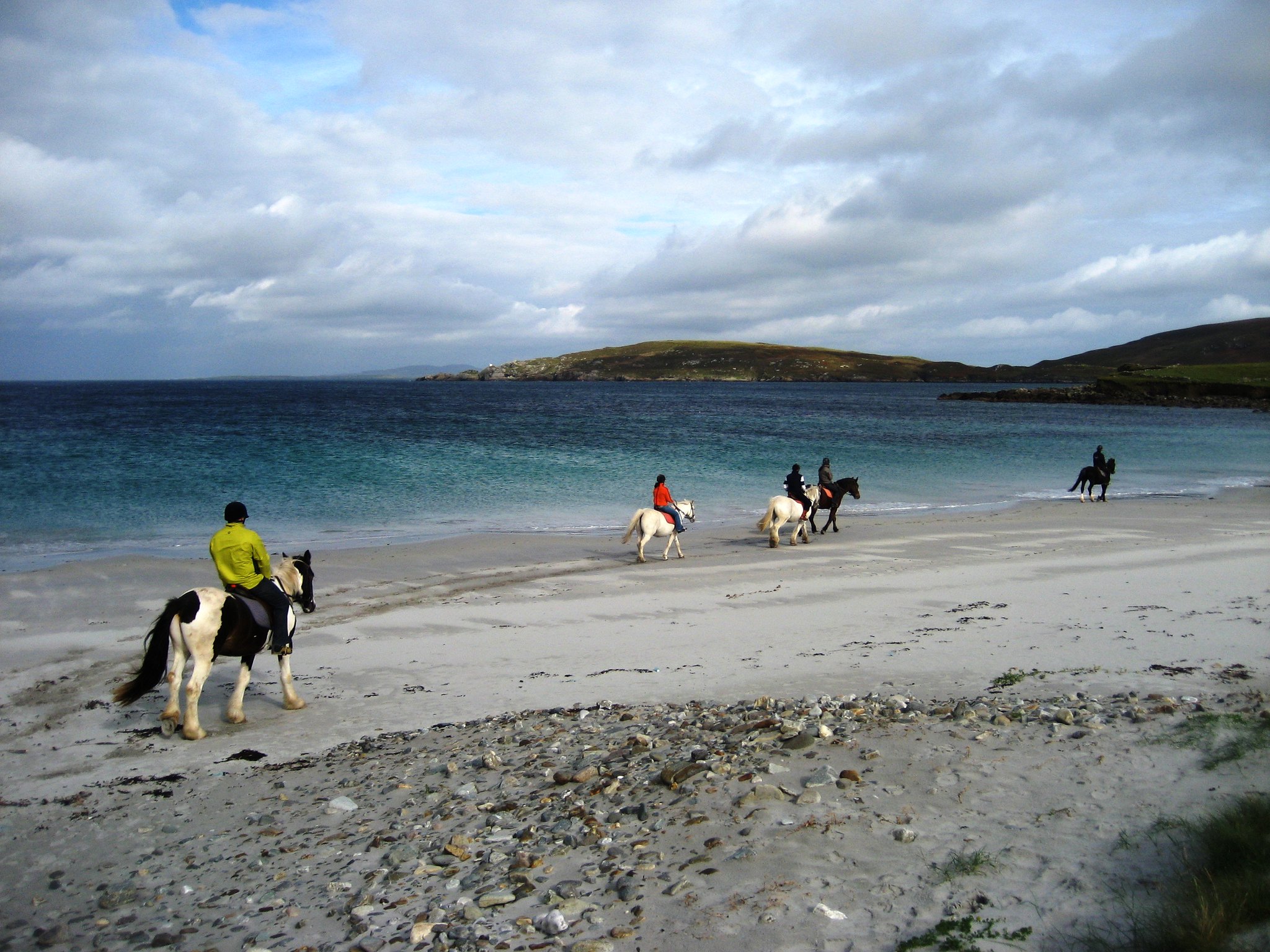 Du cheval sur une plage en Irlande - ben d - cc