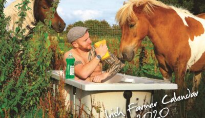 calendar irish farmer 2020 1