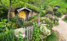 glenview gardens hobbit house