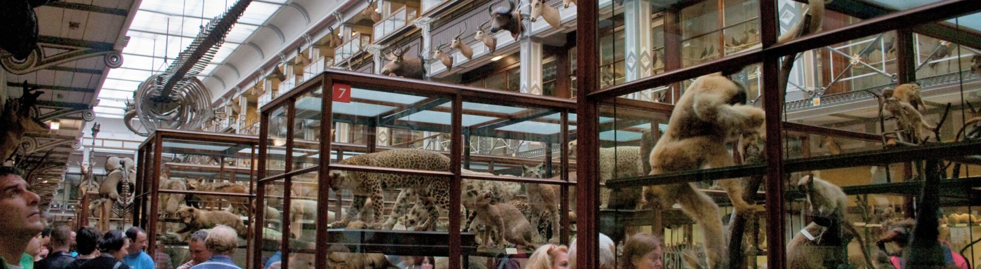 Dublin’s Natural History Museum