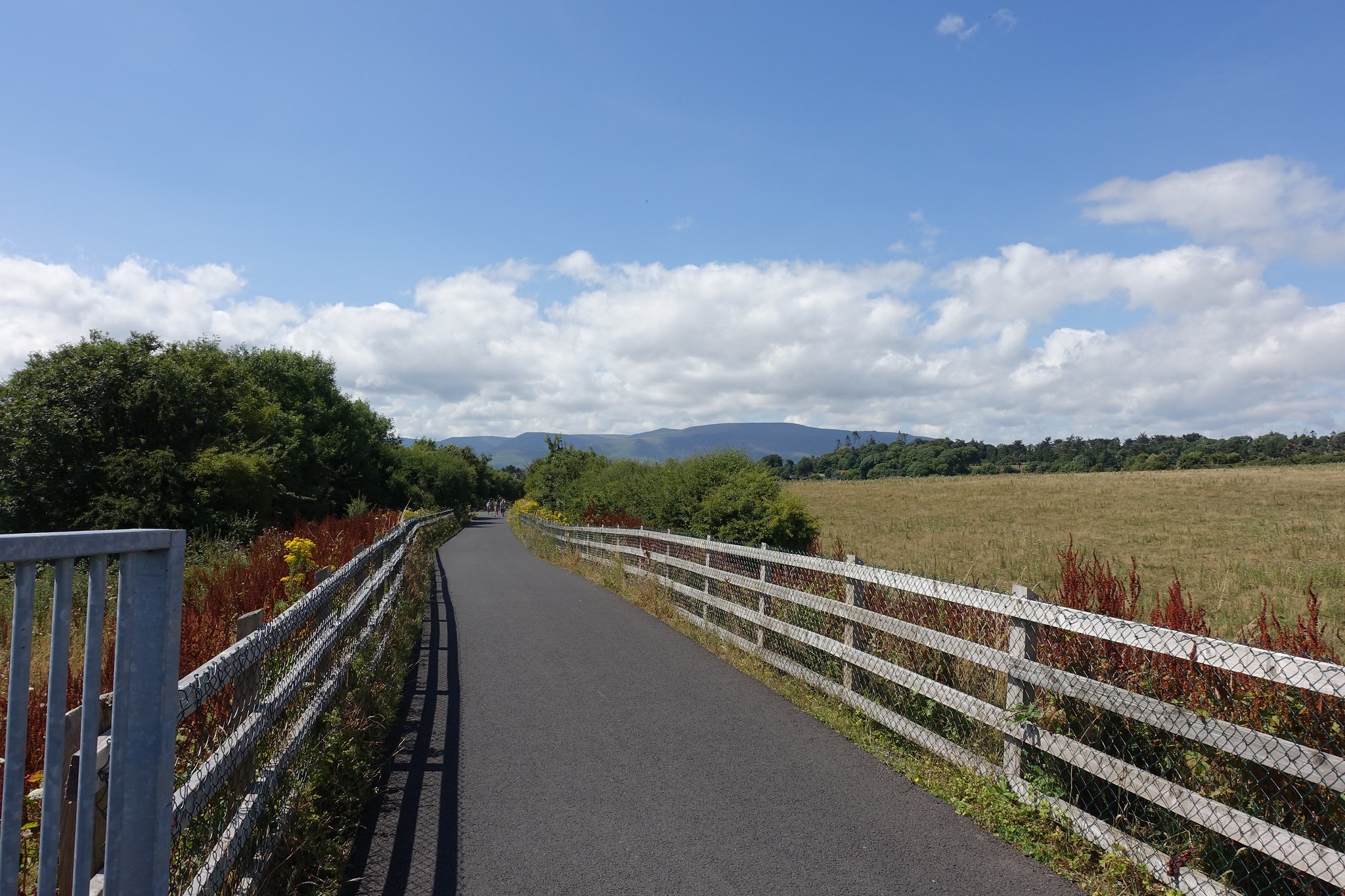 Waterford Greenway - moz278 - cc