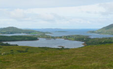 ballynakill lough