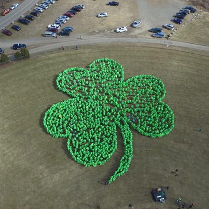 elmira trefle humain geant