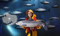 taste the atlantic salmon experience