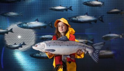 taste the atlantic salmon experience