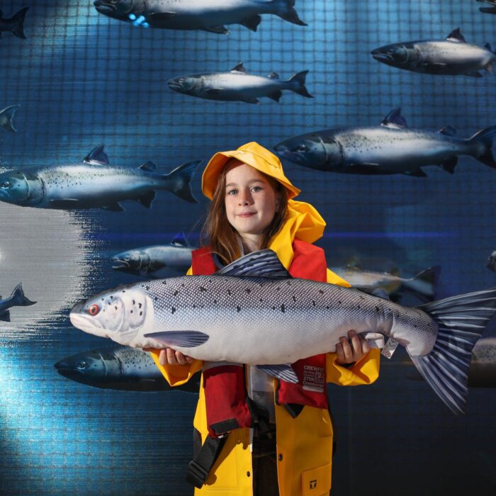 taste the atlantic salmon experience