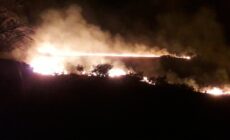 parc national killarney feu