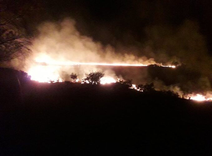 Killarney National Park: fire ravages 60 hectares