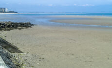 claremont beach