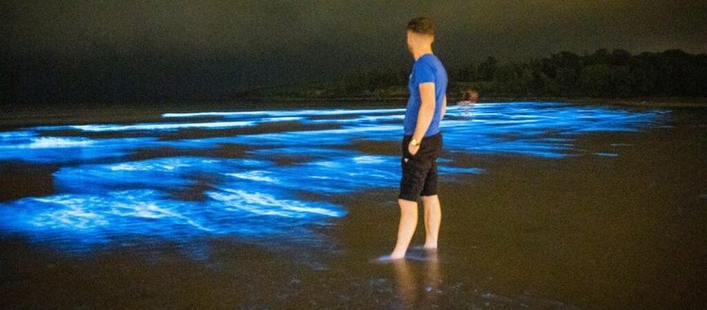 La Fountainstown beach illuminée par du plancton