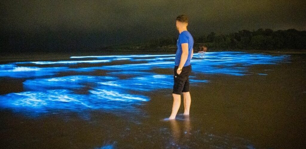 Bioluminescent plankton lights up a beach in County Cork, Ireland!