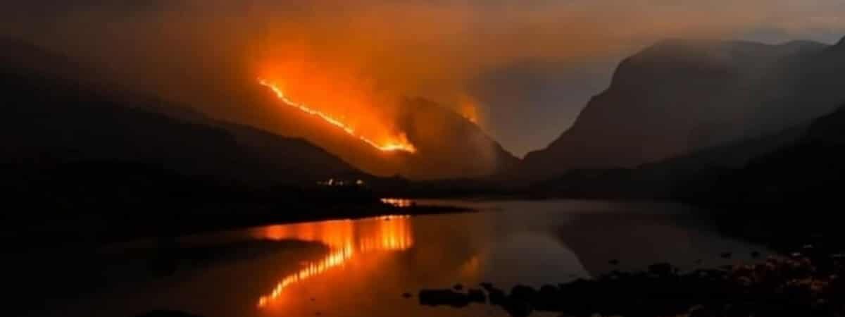 Le Parc National de Killarney a connu un terrible incendie - Dave Ryan & Cathal O' Connor (Twitter)