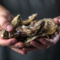 huitres irlandaises