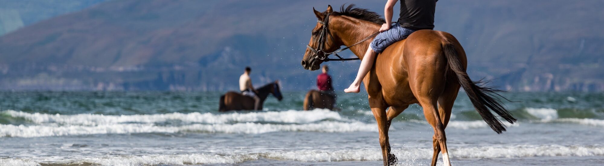 Horse riding in Ireland