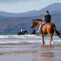 Horse riding