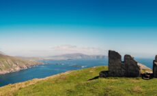 moyteogue head
