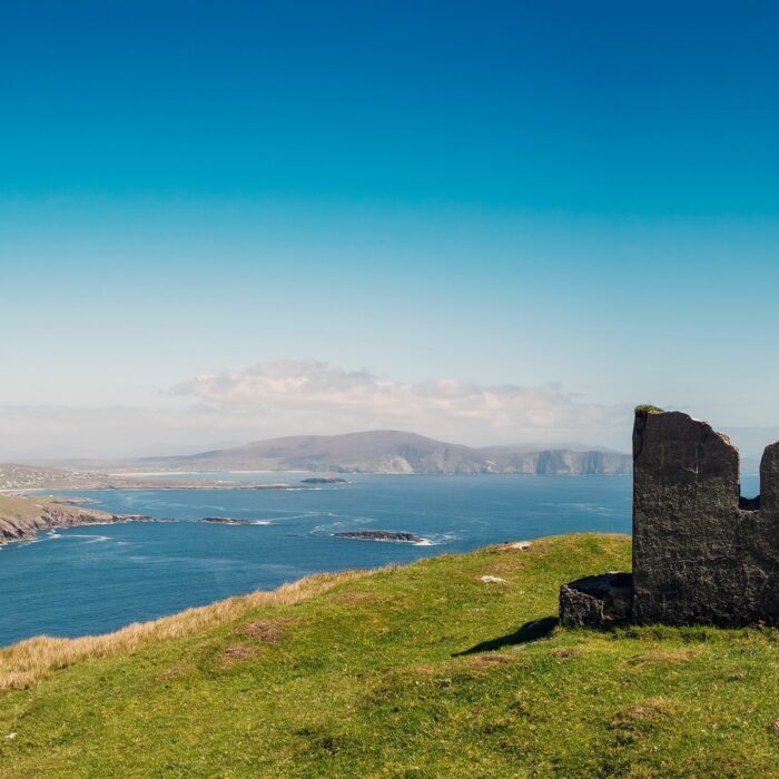 moyteogue head