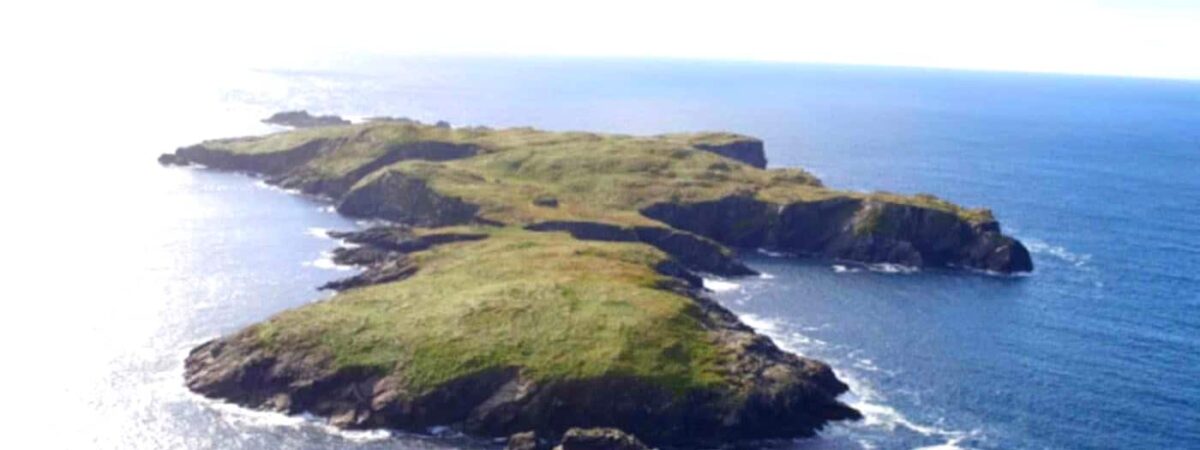 Vue aérienne de High Island - myhome.ie