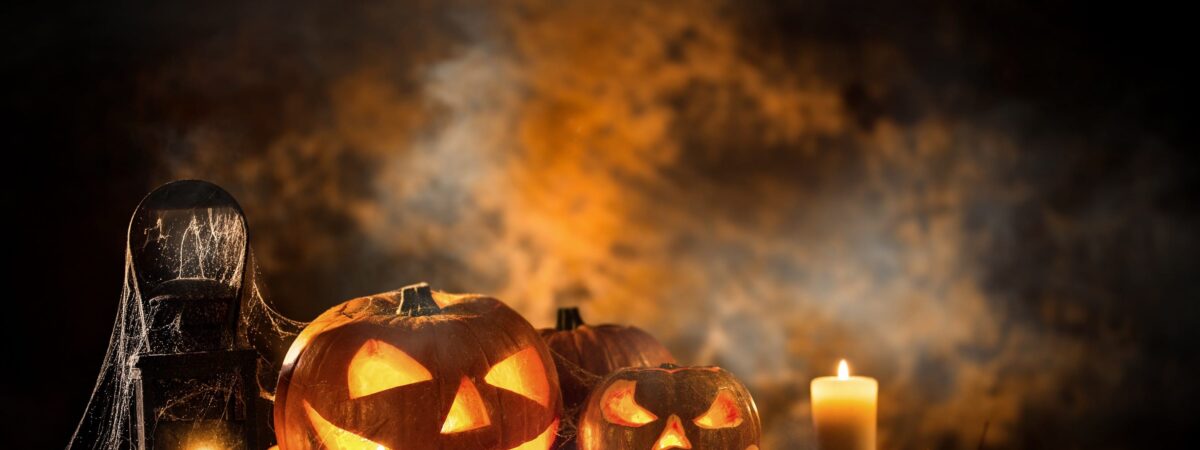 Des citrouilles Jack O'Lantern pour Halloween - © Lukas Gojda 