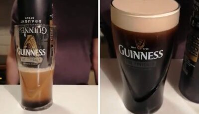 guinness cannette