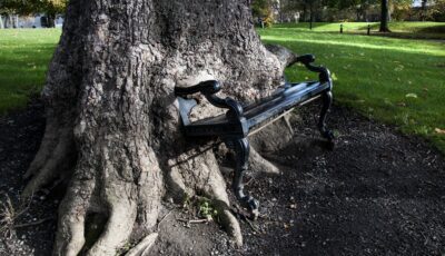 hungry tree