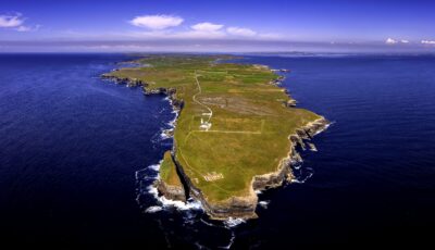 loop head
