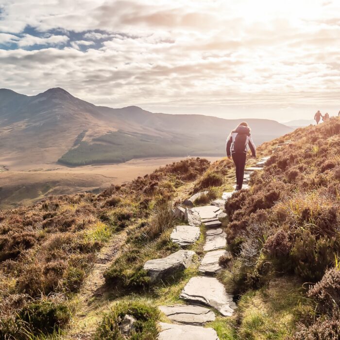 The Connemara Way - © mark_gusev