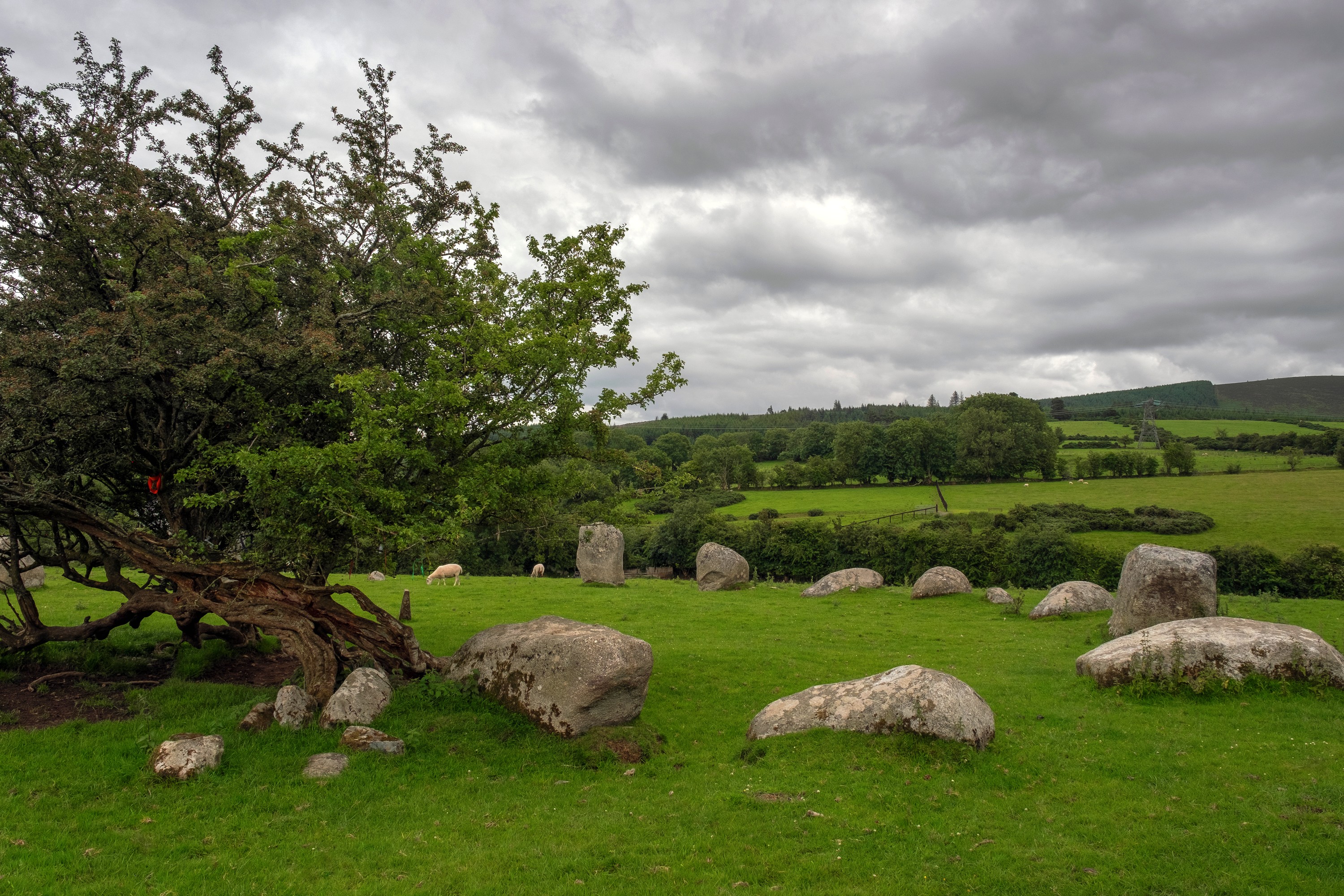 Athgreany Stone Circle - © Eugene Remizov