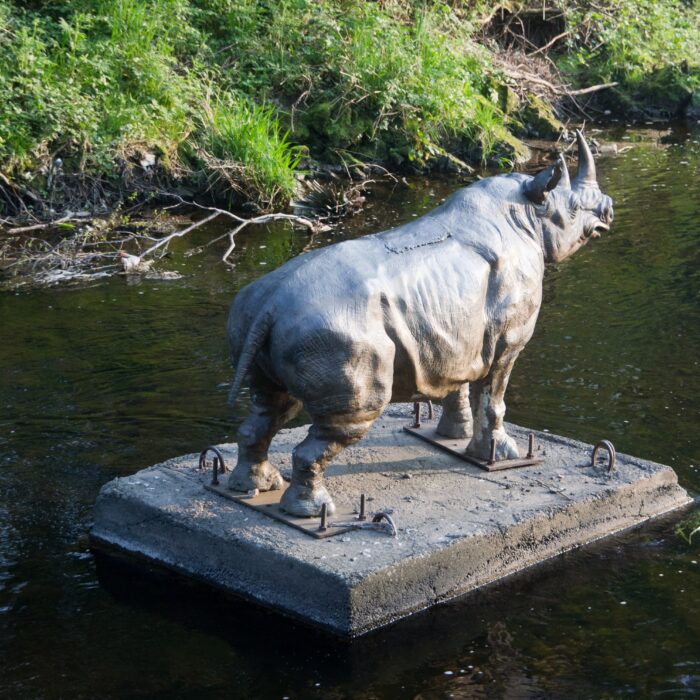 dodder rhino