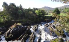 sneem